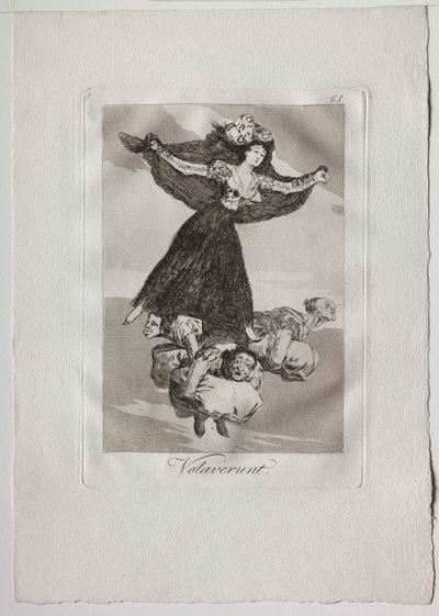 Ochenta Caprichos: Sie flogen von Francisco de Goya