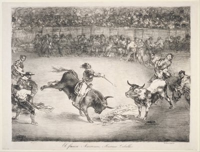 Der berühmte Amerikaner Mariano Cebellos von Francisco de Goya