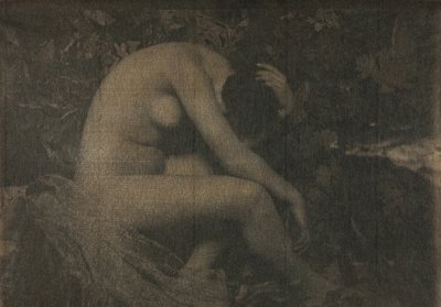 La Cigale von Frank Eugene