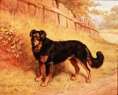 Border Collie von Frank Paton