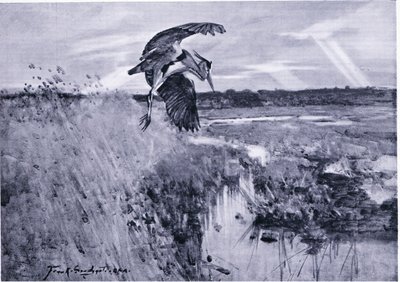 Jack Harnser-Heron von Frank Southgate
