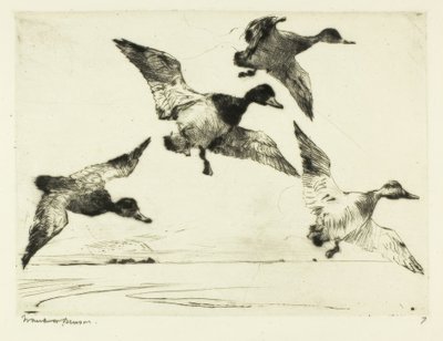Rotkopfenten von Frank Weston Benson