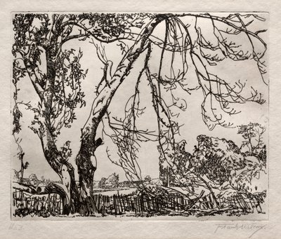 Apfelbaum von Frank Wilcox