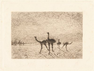 Strauße in der Wüste von François Nicolas Auguste Feyen Perrin