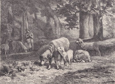 Die Schafe, aus Magasin Pittoresque von François Rouget