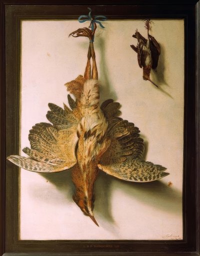 Trompe l’oeil mit toten Vögeln von Frans Cuyck van Meyerop