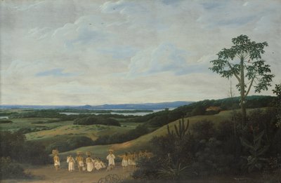 Eine brasilianische Landschaft von Frans Post