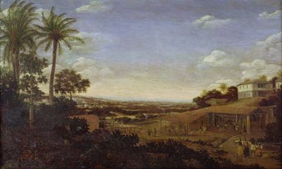 Unbekanntes Bild von Frans Post