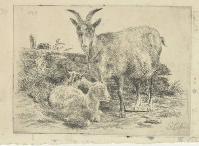 Ziege mit Jungen von Frans Lebret