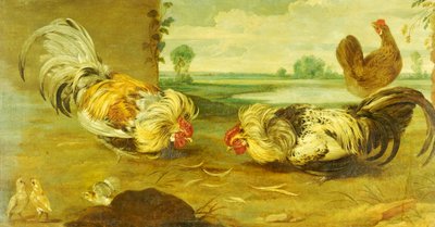 Ein Hahnenkampf von Frans Snyders or Snijders