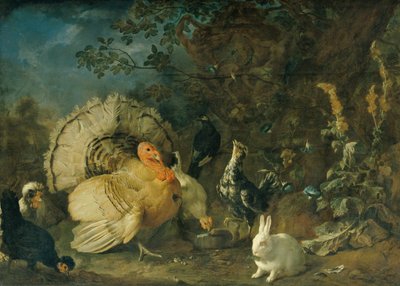 Hausgeflügel und Kaninchen von Franz Werner Tamm