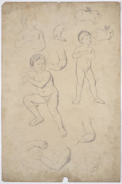 Kinderakt- und Kopfstudien, 2 Hasen von Franz von Matsch