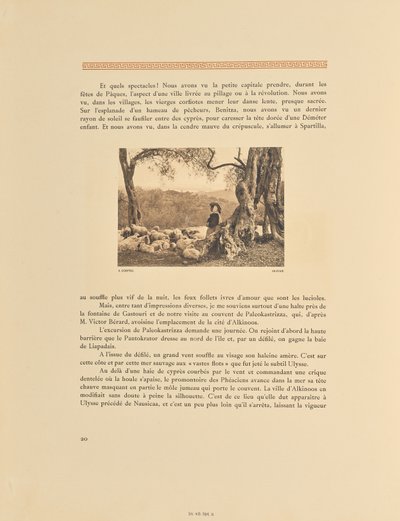 Korfu. Olivenhain von Frédéric Boissonnas