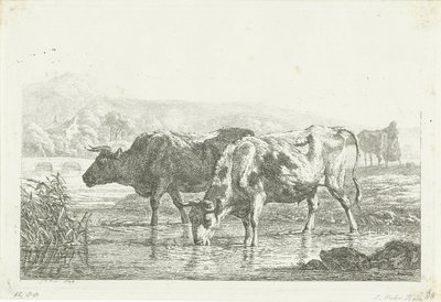 Zwei trinkende Kühe von Frédéric Théodore Faber