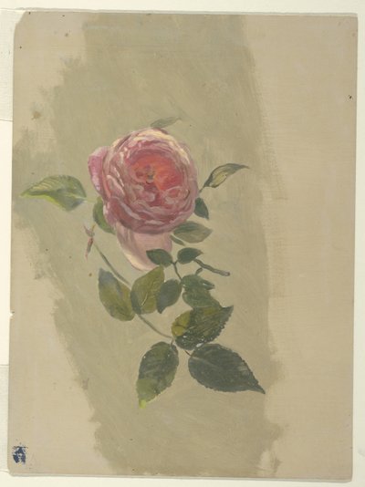 Ein Rosenast von Frederic Edwin Church