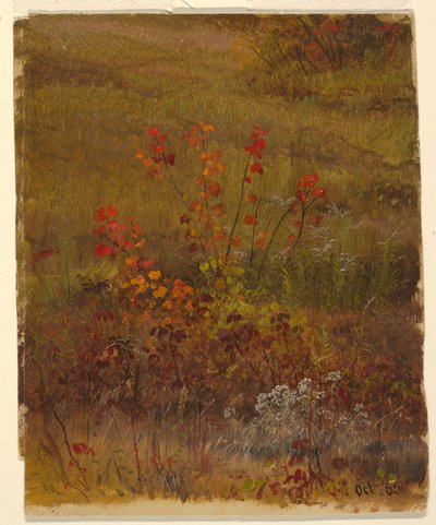 Botanische Studien von Frederic Edwin Church
