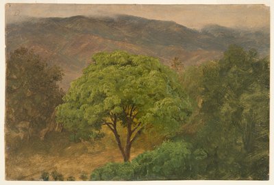 Genip-Baum in den Bergen, Jamaika von Frederic Edwin Church