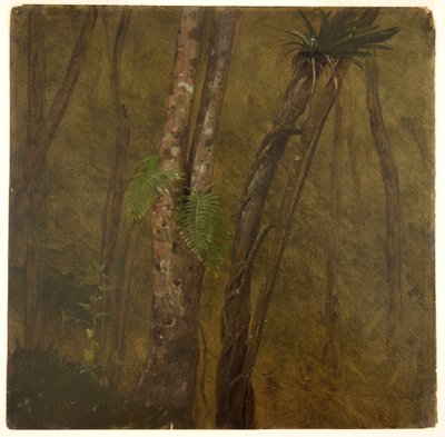 Landschaft in Jamaika von Frederic Edwin Church