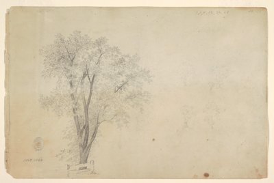 Bäume von Frederic Edwin Church