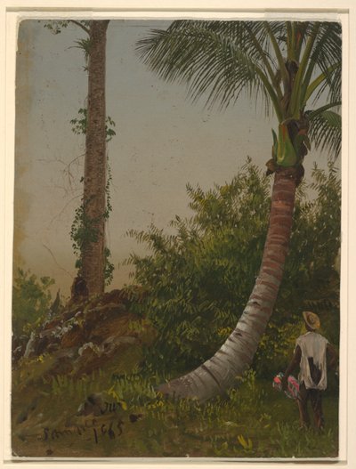 Bäume in Jamaika, Westindien von Frederic Edwin Church