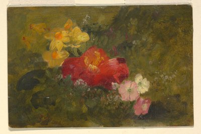 Wildblumen, Jamaika von Frederic Edwin Church