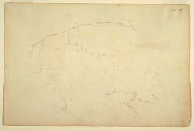 Bewaldeter Hang, Catskill Mountains von Frederic Edwin Church