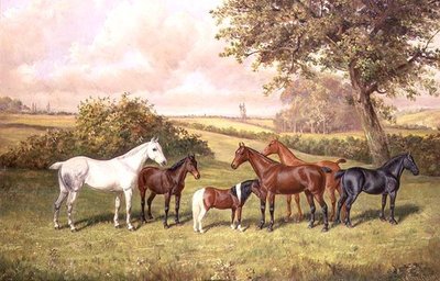 Eine Gruppe von Ponys von Frederick Albert Clark