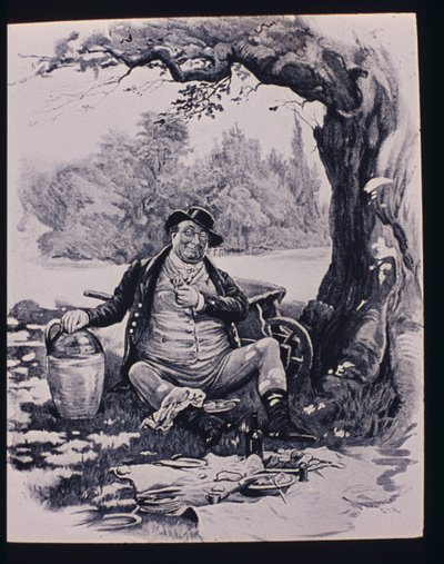 Mr. Pickwick, 1870-79 von Frederick Barnard