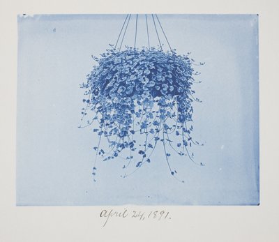 Ohne Titel, 24. April von Frederick K. Coulson