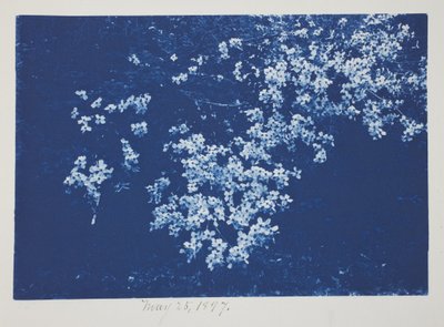 Ohne Titel, 25. Mai von Frederick K. Coulson