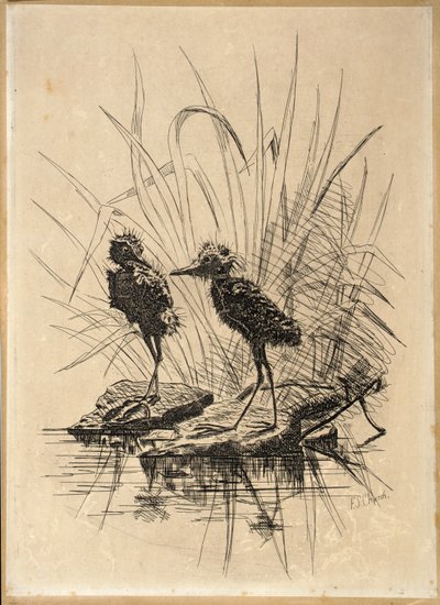 Zwei Vögel von Frederick Stuart Church