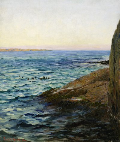 Sommerabend von Fredrik Kolstoe