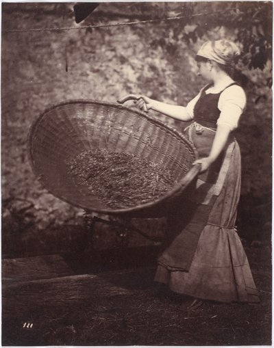 Bäuerin mit Worfelkorb von French Photographer