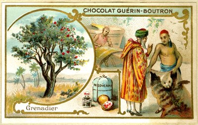 Werbe-Chromolithographie von Guérin Boutron Schokoladen von French School