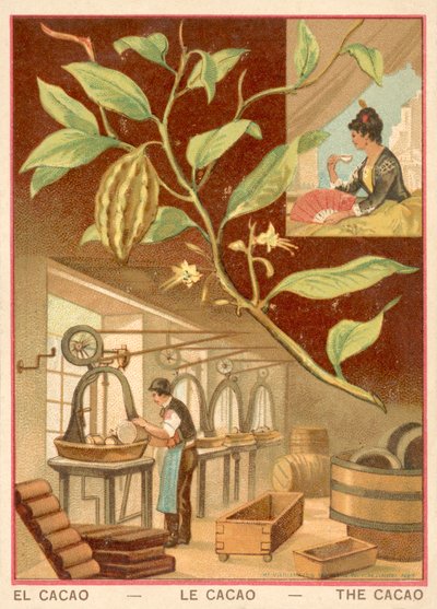 Kakao (Chromolitho) von French School