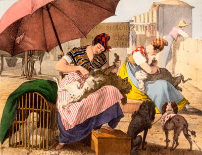 Hundepfleger, 1820 von French School