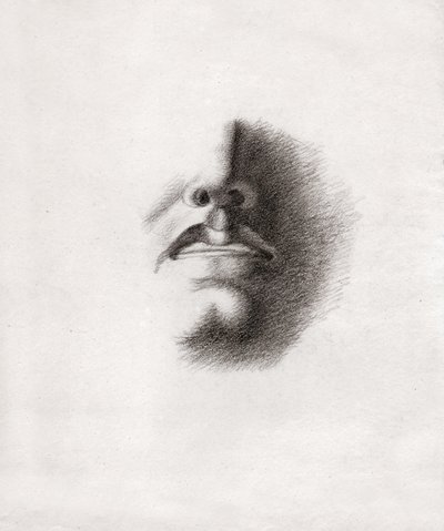 Gesicht eines Mannes (Zeichnung, ca. 1830) von French School