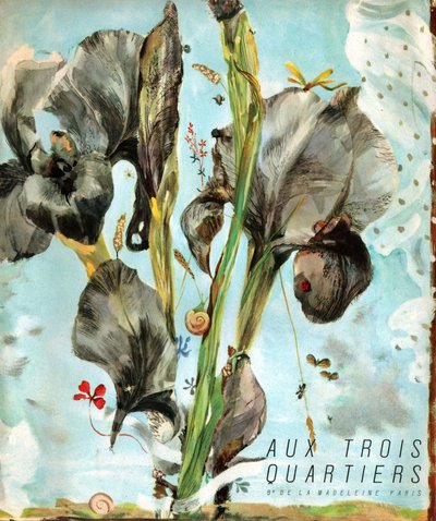 Iris (Blume) von French School