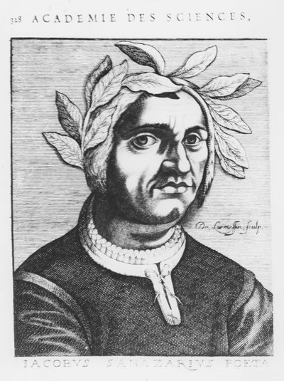 Jacopo Sannazaro (Stich) von French School