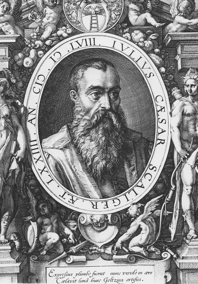Julius Caesar Scaliger (Stich) von French School