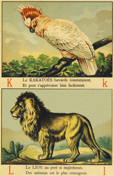 K als Kakadus und L als Löwe von French School