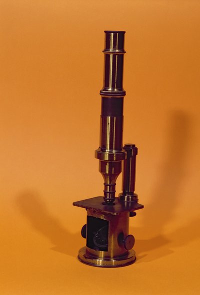 Mikroskop von Louis Pasteur (1811-95) (Metall) von French School