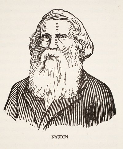 Naudin von French School