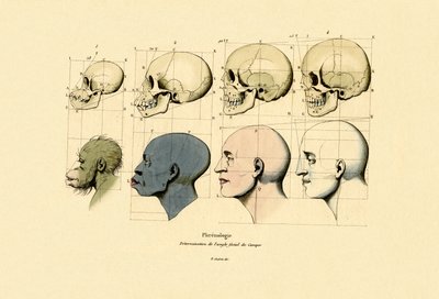 Phrenologie, 1833-39 von French School