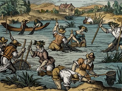 Flussfischen, aus 1584 von French School