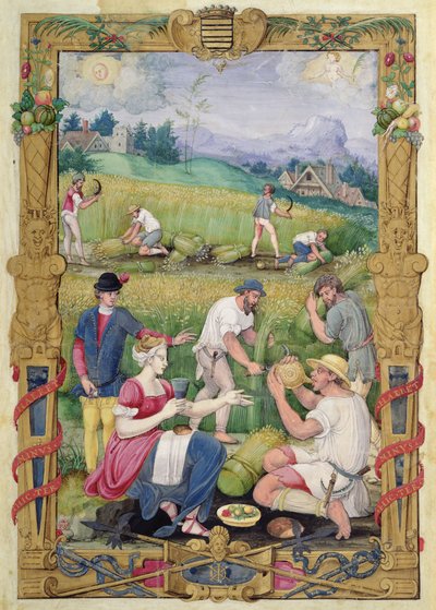 Der Monat August: Die Ernte von French School