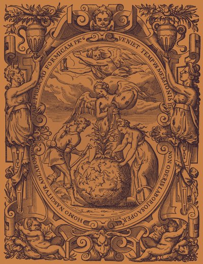 Das Pflanzenreich von French School