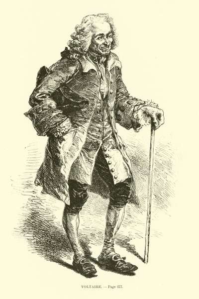 Voltaire von French School