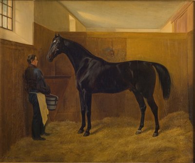 Zampa von Fritz Thomsen