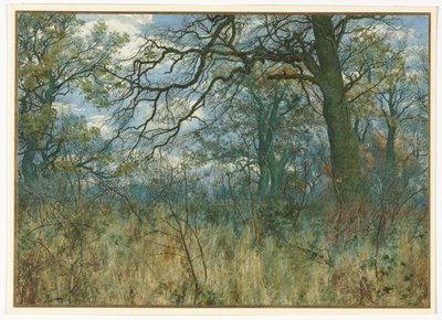 Bäume und Unterholz von Garden William Fraser